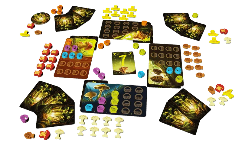 WonderWoods-Example (1).webp