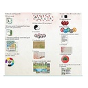 Wingspan Asia Engelstalig stonemaier games