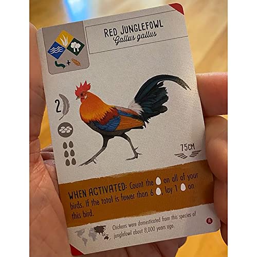 Wingspan Asia Engelstalig stonemaier games