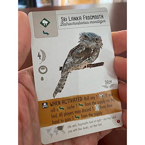 Wingspan Asia Engelstalig stonemaier games