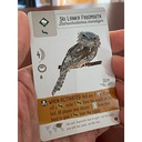 Wingspan Asia Engelstalig stonemaier games