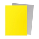 Dragon Shield: Matte - Dual Yellow & Silver (100)