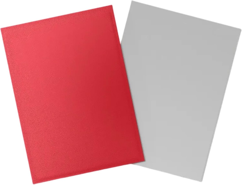 Dragon Shield: Matte - Dual Crimson & Silver (100)