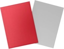 Dragon Shield: Matte - Dual Crimson & Silver (100)