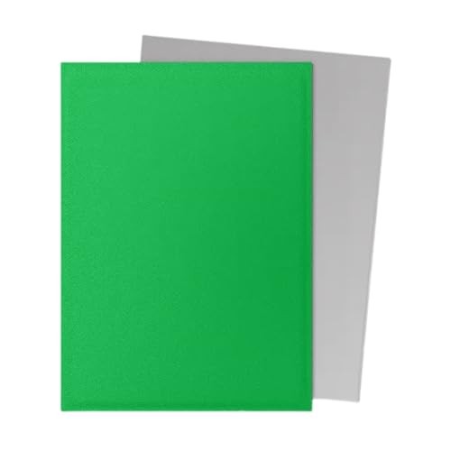 Dragon Shield: Matte - Dual Apple Green & Silver (100)