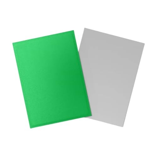 Dragon Shield: Matte - Dual Apple Green & Silver (100)