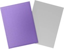 Dragon Shield: Matte - Dual Nebula & Silver (100)