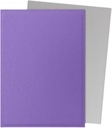 Dragon Shield: Matte - Dual Nebula & Silver (100)