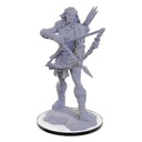 Pathfinder deep cuts miniatures: wood giant
