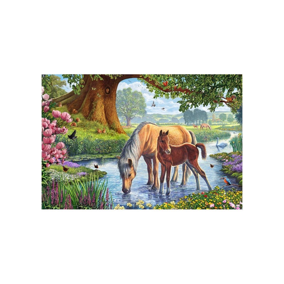Horses