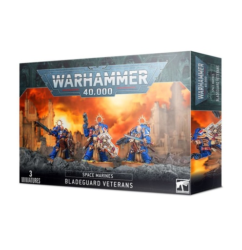 Warhammer - Space Marines: Bladeguard Veterans